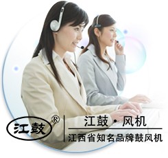 江西绿城罗茨鼓风机有限公司